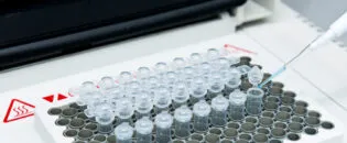 Reliable Contactless Temperature Measurement of a Large Number of DNA Samples with IR Cameras