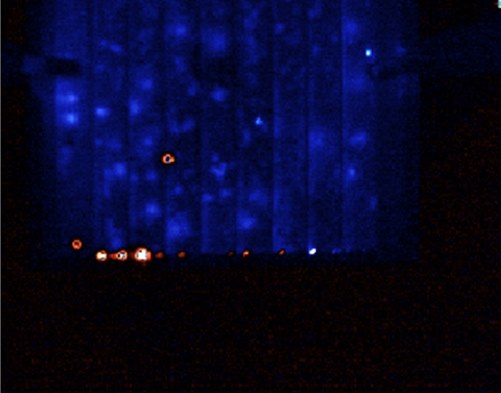Dynamic Shunt Imaging in Solar Cells with Illuminated Lock-in Techniques