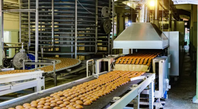 temperature measurement applications in food using Optris non-contact measurement cameras