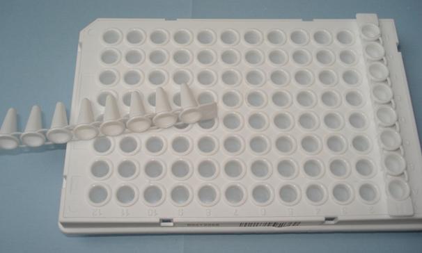 High-Speed, High-Resolution Radiometric Infrared Cameras for Biomedical Research